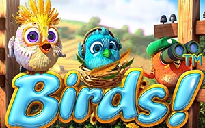 Birds